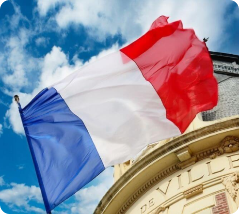 Identify Visa Pathway Type & Qualification